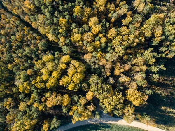 Воздушный Вид Сельскую Местность Полями Лесами Осенний Сезон — стоковое фото