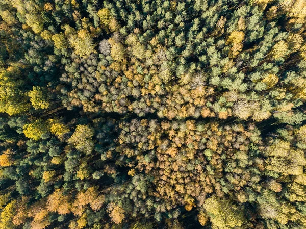 Vista Aérea Zona Rural Com Campos Florestas Outono — Fotografia de Stock