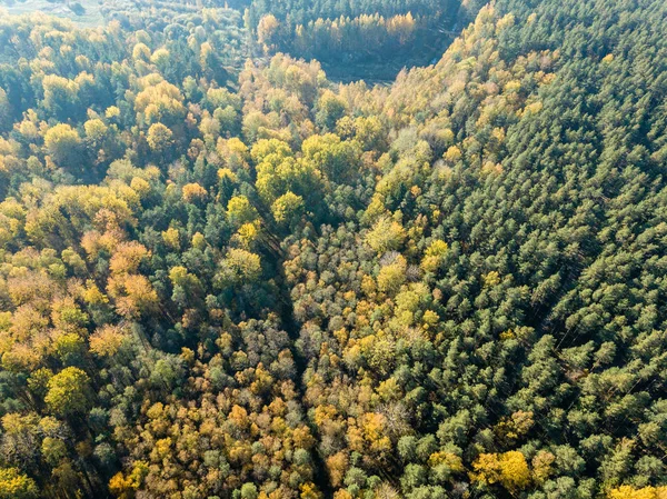 aerial view of rural area with fields and forests at autumn season