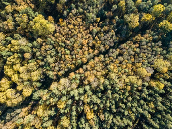 Luchtfoto Van Landelijke Omgeving Met Akkers Bossen Herfst Seizoen — Stockfoto