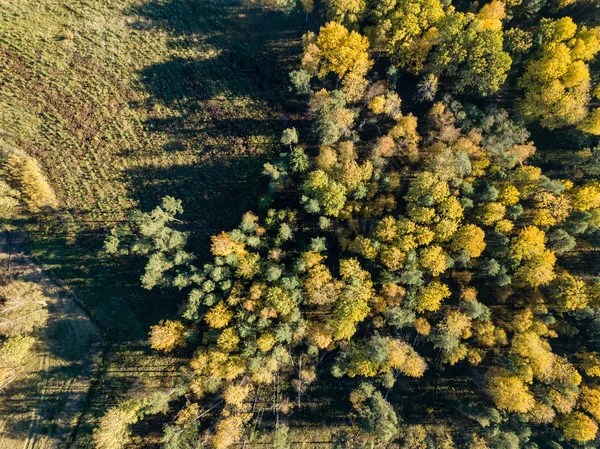 Vista Aérea Zona Rural Com Campos Florestas Outono — Fotografia de Stock