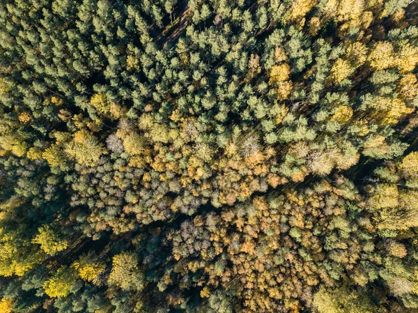Воздушный Вид Сельскую Местность Полями Лесами Осенний Сезон — стоковое фото