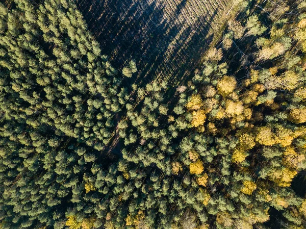 Flygfoto Över Landsbygden Med Fält Och Skogar Höstsäsongen — Stockfoto