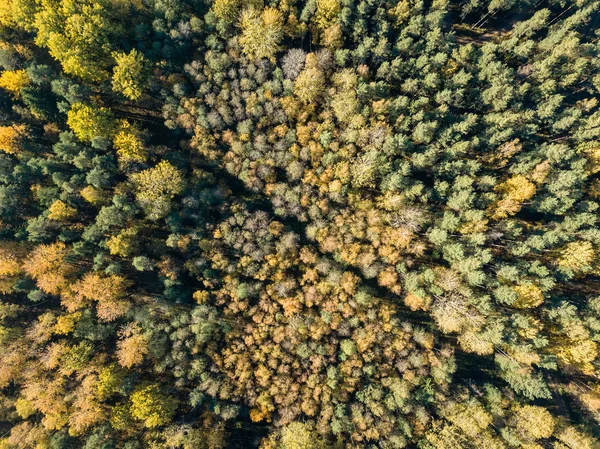 Vista Aérea Zona Rural Com Campos Florestas Outono — Fotografia de Stock