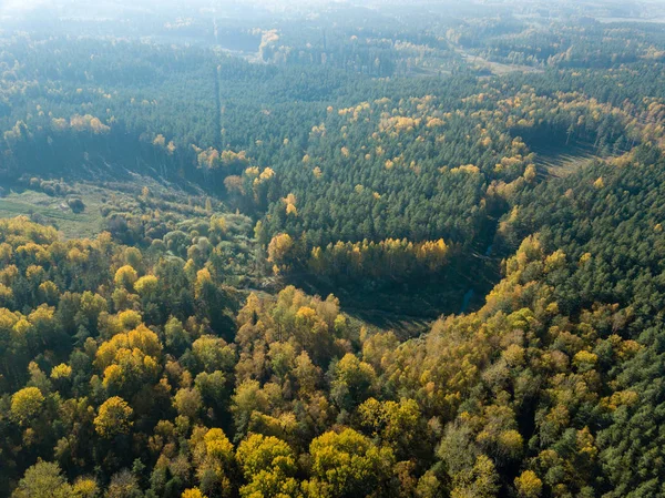 aerial view of rural area with fields and forests at autumn season
