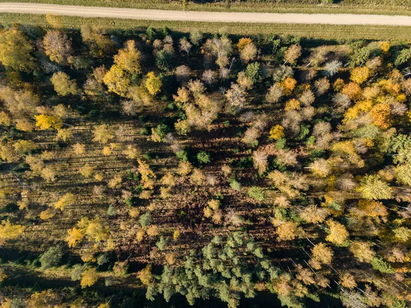 Vista Aérea Zona Rural Com Campos Florestas Outono — Fotografia de Stock