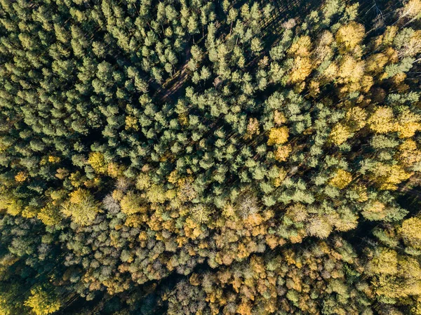 Vista Aérea Zona Rural Com Campos Florestas Outono — Fotografia de Stock