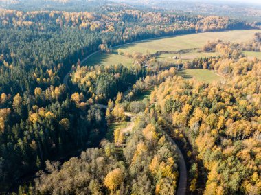Sonbahar renkli orman, Letonya dalgalı Gauja nehir havadan görünümü.
