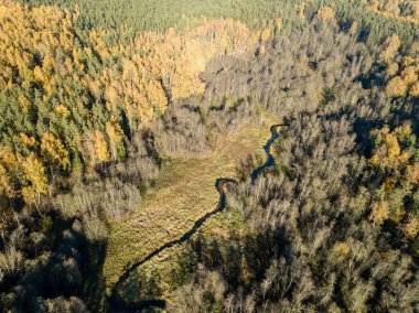 Sonbahar renkli orman, Letonya dalgalı Gauja nehir havadan görünümü.
