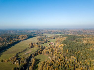 Hava alanları ve orman Sonbaharın sarı renkli ile kırsal alan görünümünü Letonya ağaçlarda sonbahar.