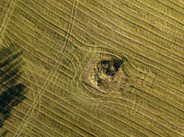 Yeşil alan deseni ile kırsal bölgenin havadan görünümü.