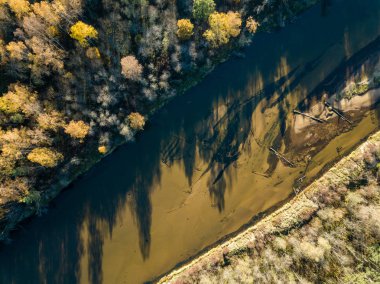 Su ve kıyıları Nehri, Gauja ormanda, Letonya.