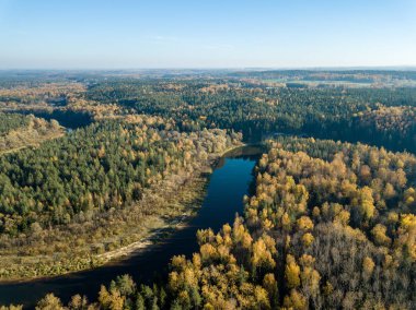 Sonbahar renkli orman, Letonya dalgalı Gauja nehir havadan görünümü.
