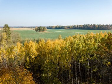 Alanları ve orman Sonbaharın sarı renkli sonbahar ağaçlar günü, Letonya ile bulutlu gökyüzü altında kırsal bölgenin havadan görünümü