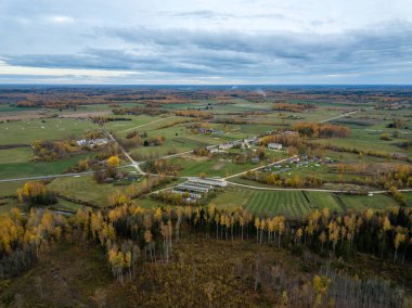 Kırsal alanlar ve sonbahar sis kaplı ormanlar ile Letonya kırsal havadan görünümü.
