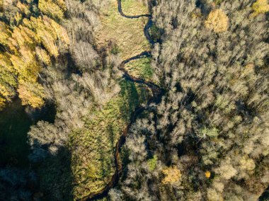 Sonbahar renkli orman, Letonya dalgalı Gauja nehir havadan görünümü.