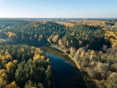 Sonbahar renkli orman, Letonya dalgalı Gauja nehir havadan görünümü.