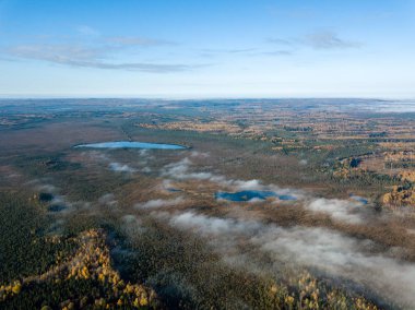 Kırsal alanlar ve sonbahar sis kaplı ormanlar ile Letonya kırsal havadan görünümü.