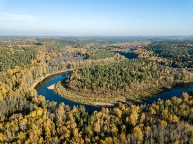 Sonbahar renkli orman, Letonya dalgalı Gauja nehir havadan görünümü.
