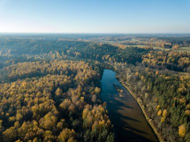 Sonbahar renkli orman, Letonya dalgalı Gauja nehir havadan görünümü.