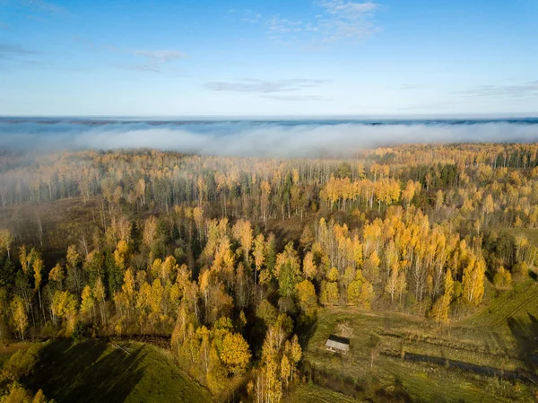 拉脱维亚农村与秋雾覆盖的森林鸟瞰图 — 图库照片