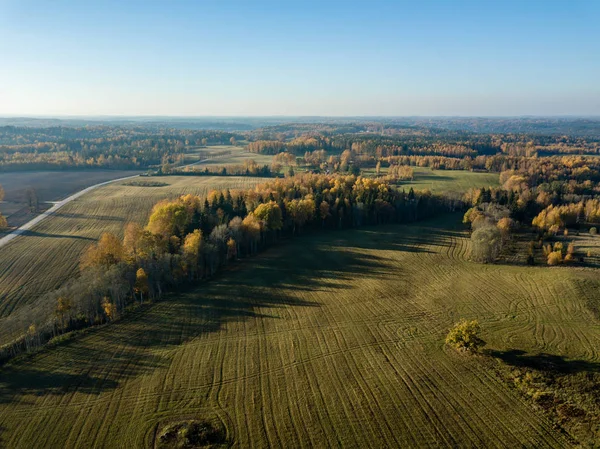 Widok Lotu Ptaka Obszarów Wiejskich Pól Lasów Jesienią Żółtym Kolorze — Zdjęcie stockowe