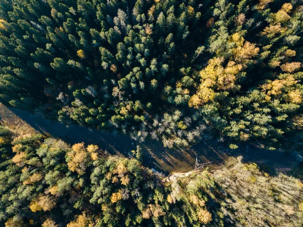 Aerial View Wavy River Gauja Autumnal Colored Forest Latvia — Stock Photo, Image