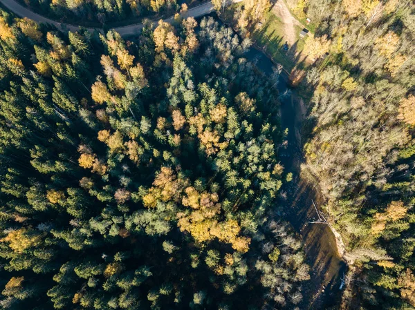 Vista Aérea Rio Ondulado Gauja Floresta Colorida Outonal Letónia — Fotografia de Stock