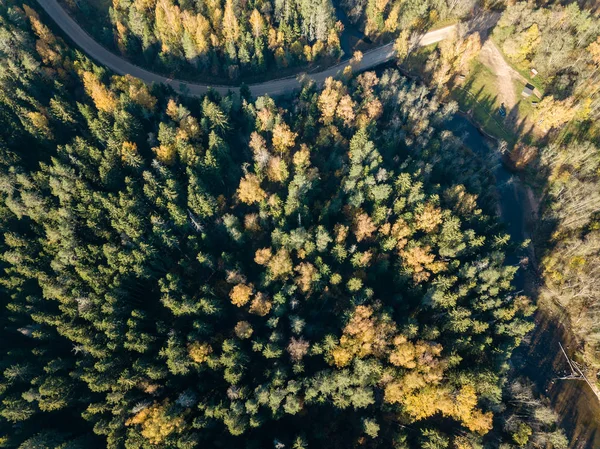 ガウヤ波状川紅葉色フォレスト ラトビアでの空撮 — ストック写真