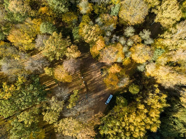 Vista Aérea Zona Rural Outono Com Árvores Cor Amarela Verde — Fotografia de Stock