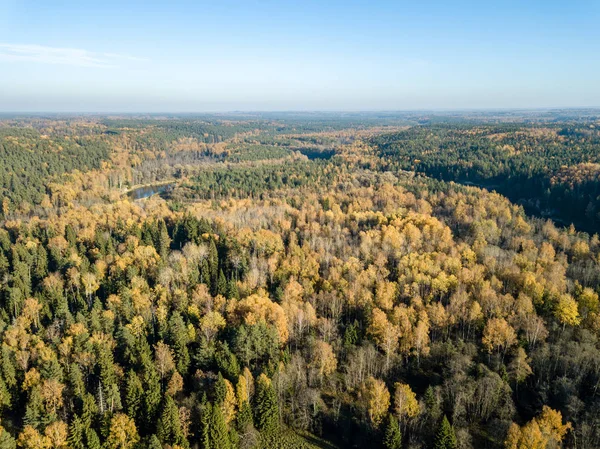 Letecký Pohled Venkovské Oblasti Podzim Žluté Zelené Barevné Stromy Lese — Stock fotografie