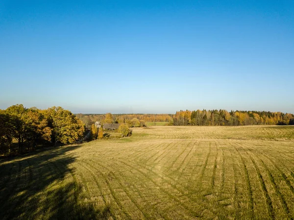 Flygfoto Över Landsbygden Med Fältet Och Gul Färgade Höstträd Lettland — Stockfoto