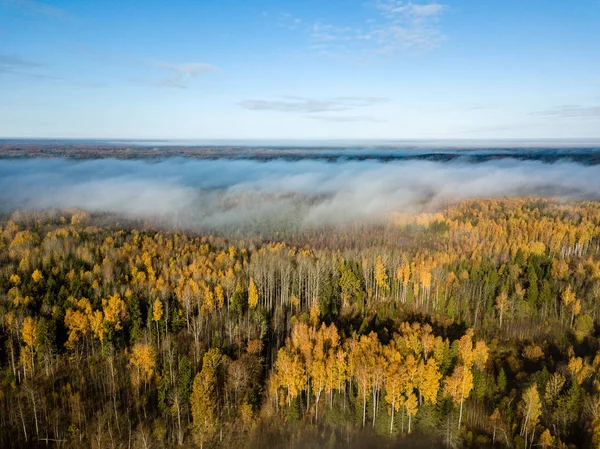 Aerial View Countryside Latvia Rural Fields Woods Covered Autumn Mist — Stock Photo, Image