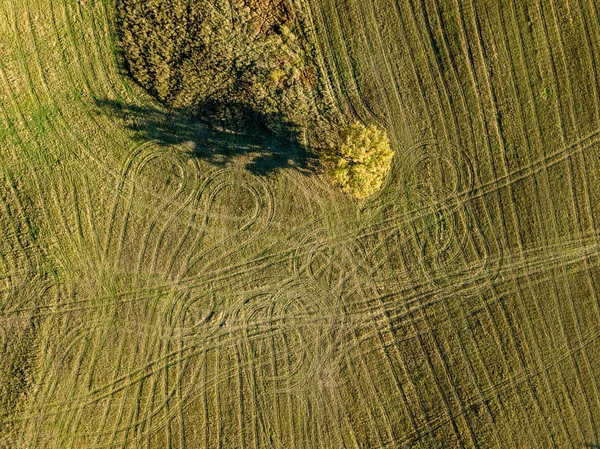 Vista Aérea Zona Rural Con Campo Otoño Con Árbol Otoño — Foto de Stock