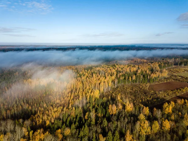 拉脱维亚农村与秋雾覆盖的森林鸟瞰图 — 图库照片