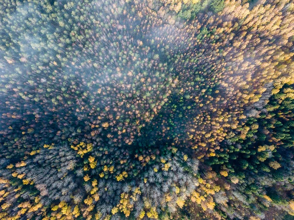 Letecký Pohled Venkovské Oblasti Podzim Žluté Zelené Barevné Stromy Lese — Stock fotografie