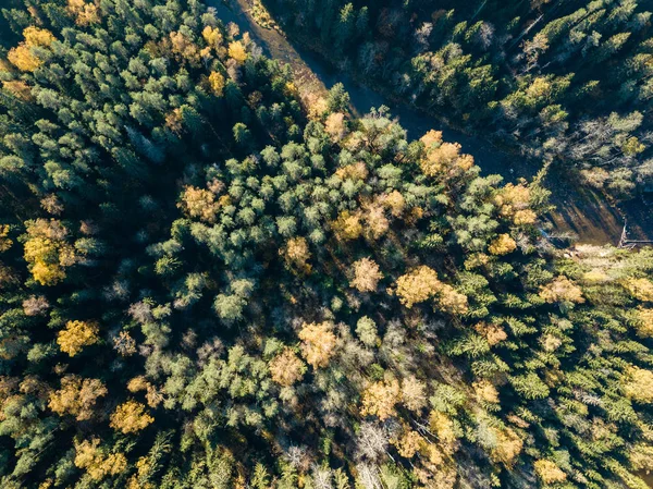 Vista Aérea Zona Rural Outono Com Árvores Cor Amarela Verde — Fotografia de Stock