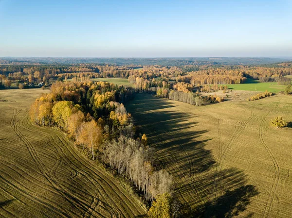 Aerial View Countryside Gravel Road Autumn Colored Fields Forest Latvia — Stock Photo, Image