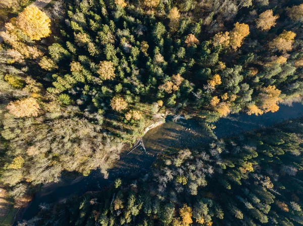 Вид Воздуха Реку Гауя Осеннем Цветном Лесу Латвия — стоковое фото