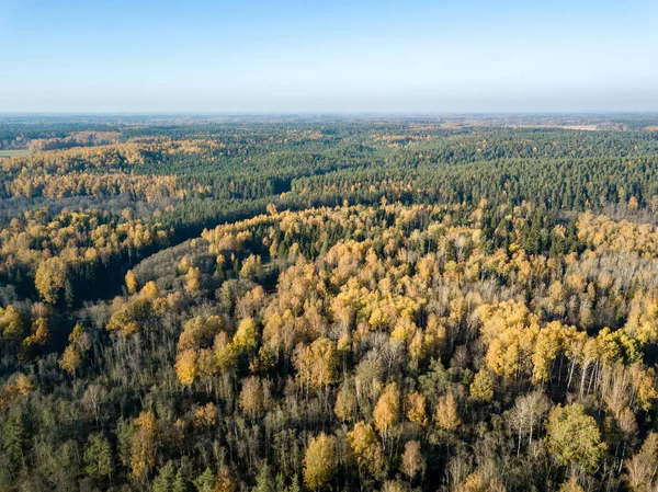 Вид Воздуха Цветные Осенние Леса Латвии — стоковое фото
