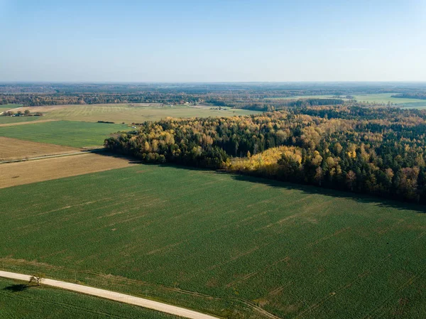 Luchtfoto Van Platteland Onverharde Weg Met Herfst Gekleurde Velden Bossen — Stockfoto