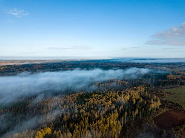 Вид Воздуха Сельскую Местность Латвии Полями Лесами Покрытыми Осенним Туманом — стоковое фото