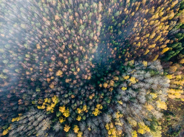 Vista Aérea Zona Rural Outono Com Árvores Cor Amarela Verde — Fotografia de Stock