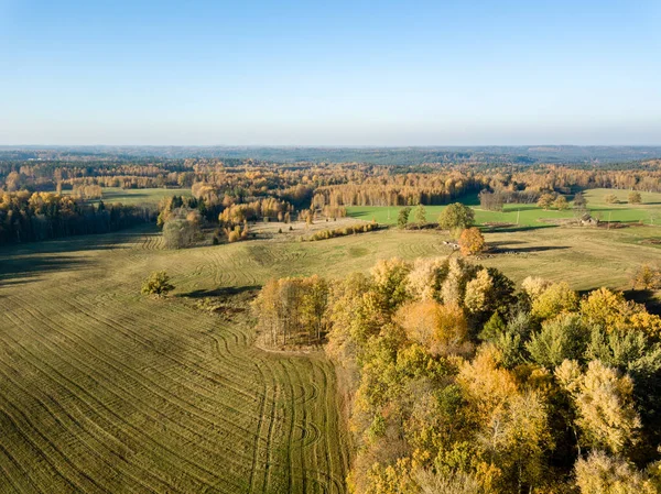 Aerial View Rural Area Fields Forest Autumn Yellow Colored Fall — Stock Photo, Image