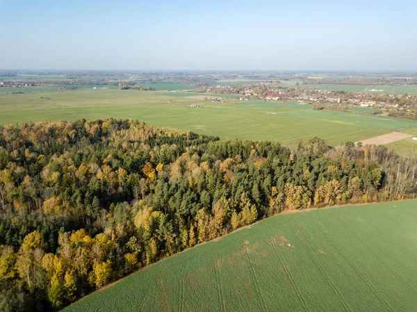 Aerial View Rural Area Fields Forest Autumn Yellow Colored Fall — Stock Photo, Image