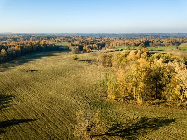 Widok Lotu Ptaka Obszarów Wiejskich Pól Lasów Jesienią Żółtym Kolorze — Zdjęcie stockowe