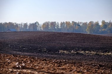 parlak gün ışığı tarafında renkli ağaçlar ile geç sonbaharda boş taze ekili tarım alanı