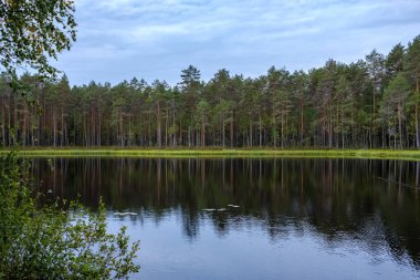 Doğa yansımalar göl veya nehir kırsal su temizleyin. sonbahar renkleri