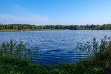 Doğa yansımalar göl veya nehir kırsal su temizleyin. sonbahar renkleri