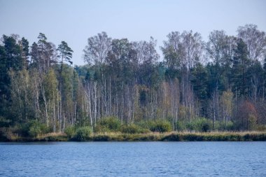 Doğa yansımalar göl veya nehir kırsal su temizleyin. sonbahar renkleri